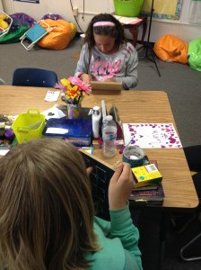 Geoboard coordinates