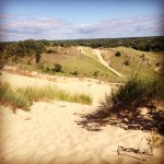Dunes at Saugatuck